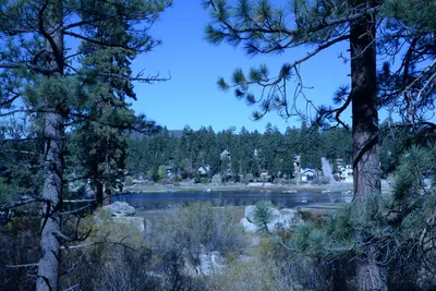 DSC_5037 (Large).JPG